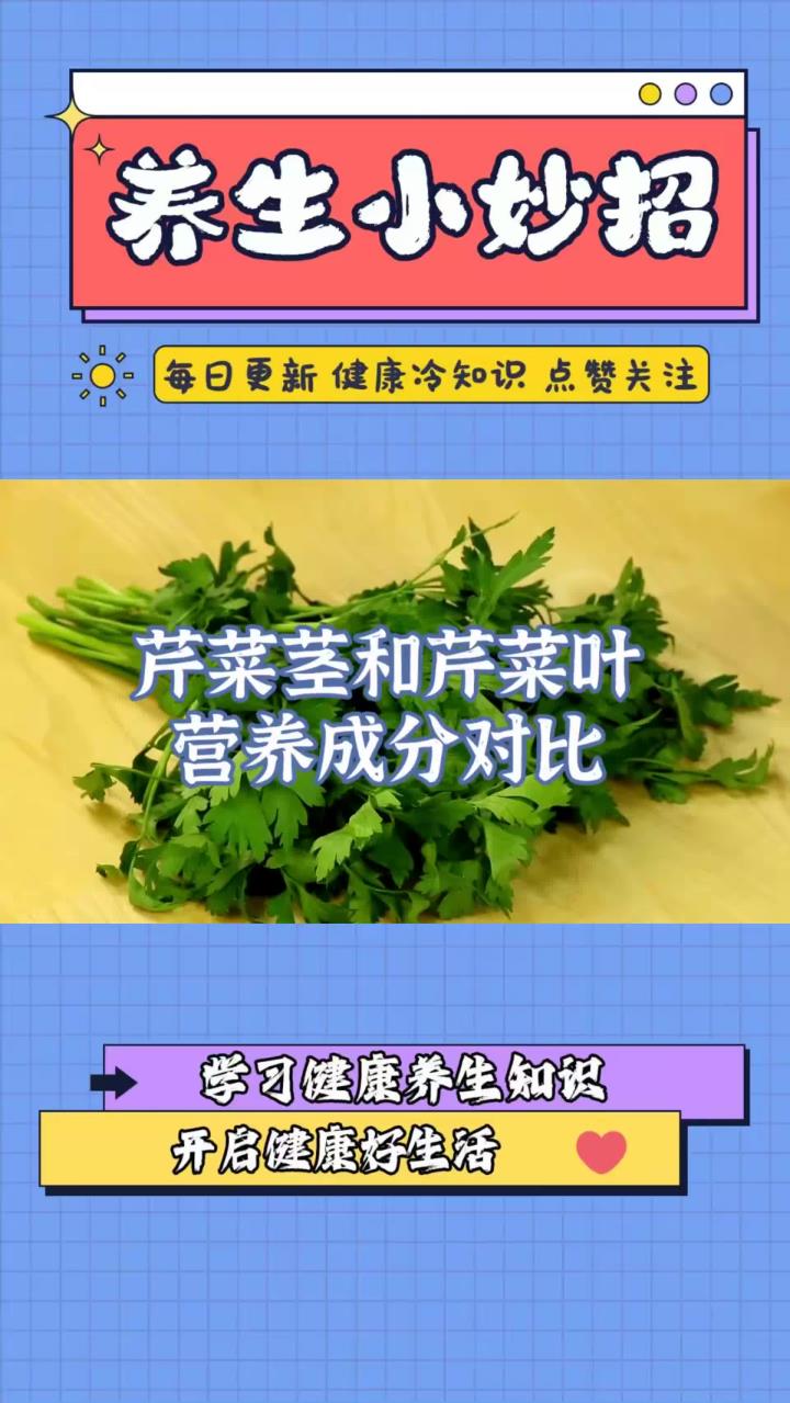 对比芹菜茎和叶的营养成分，不吃青菜叶太可惜了，怎么吃？
