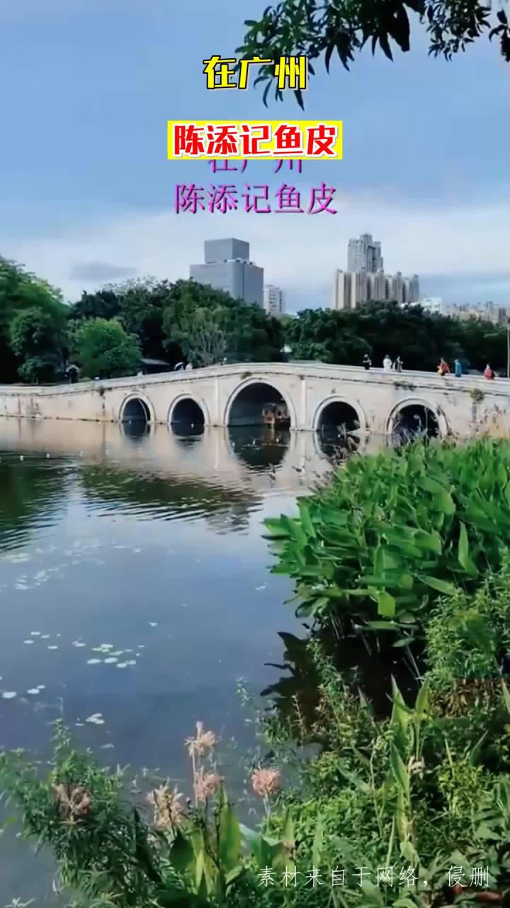 在广州，陈添记鱼皮