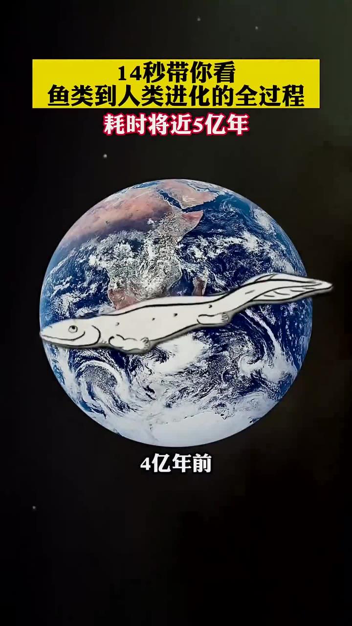 14秒带你看鱼类到人类进化的全过程,耗时将近5亿年!