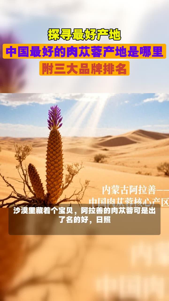 探寻最好产地,中国最好的肉苁蓉产地是哪里,附三大品牌排名