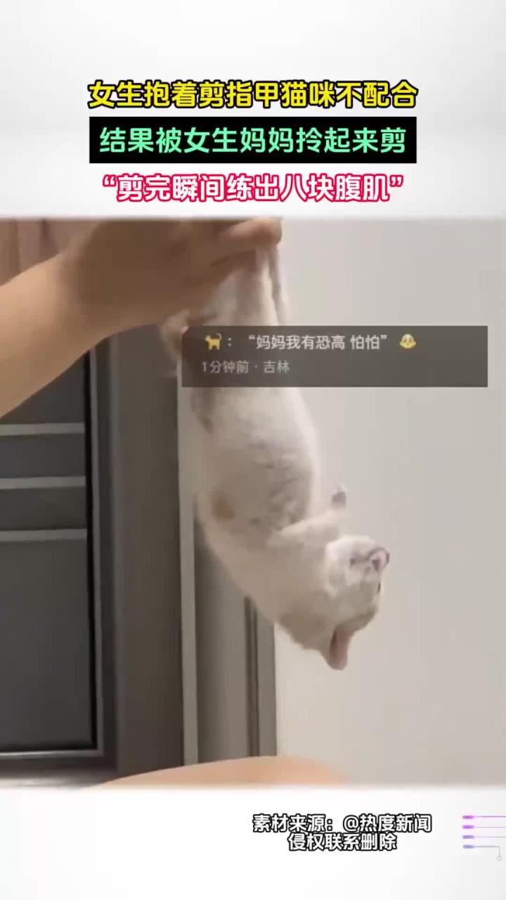 女生抱着剪指甲猫咪不配合,结果被女生妈妈拎起来剪