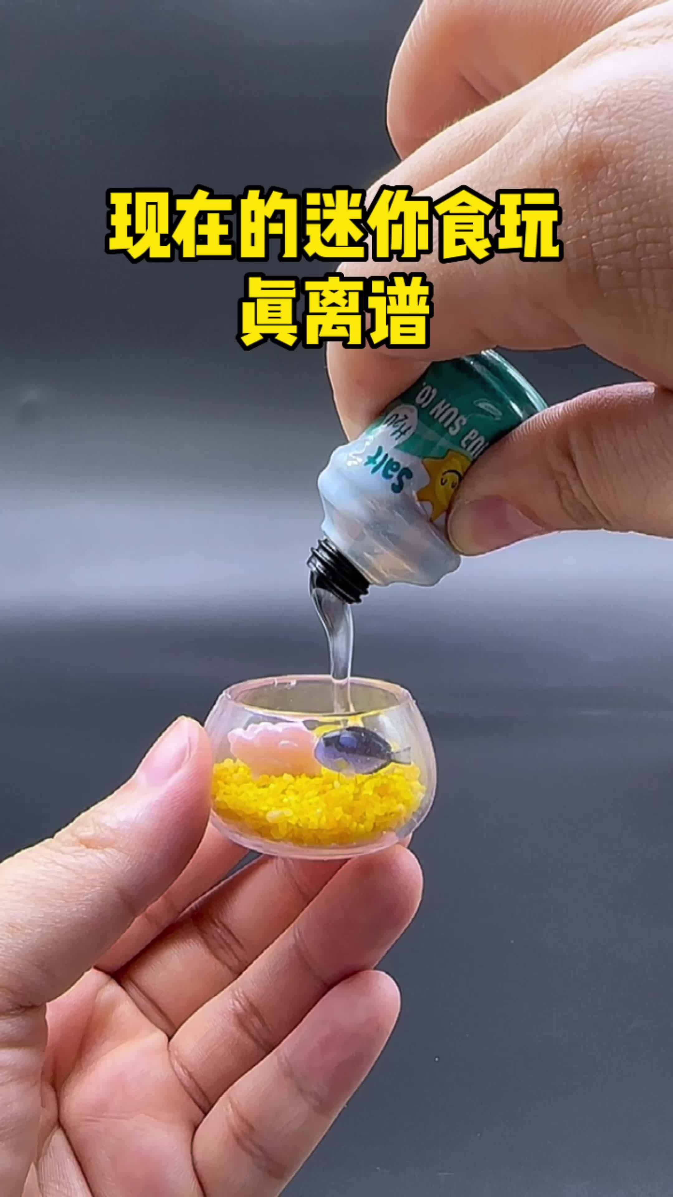 现在的迷你食玩真离谱，都能自己做鱼缸了，太好玩了