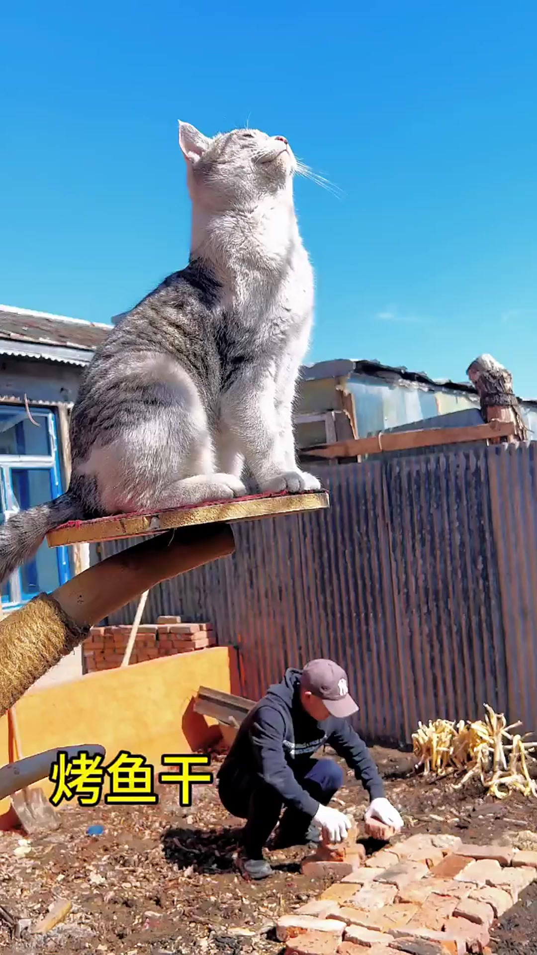 给小家伙们做了一顿户外烤鱼