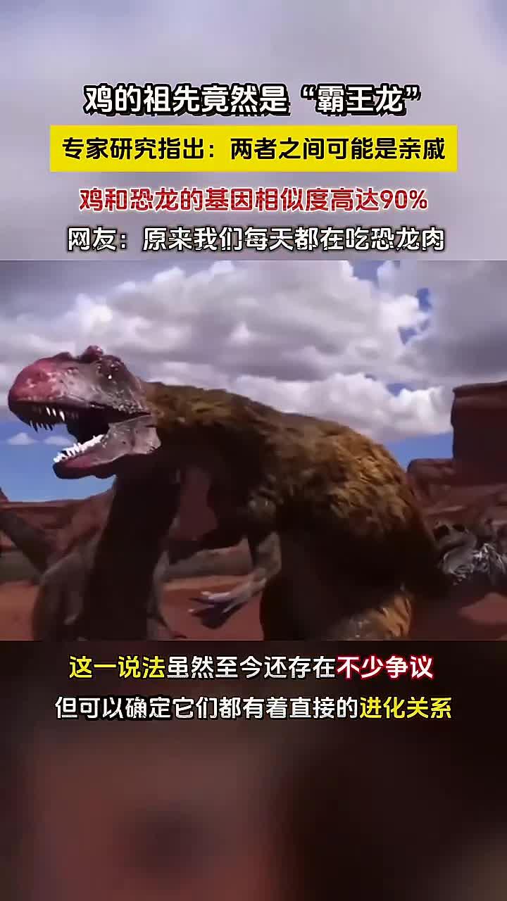 鸡的祖先竟然是霸王龙?科学家通过提取霸王龙化石基因