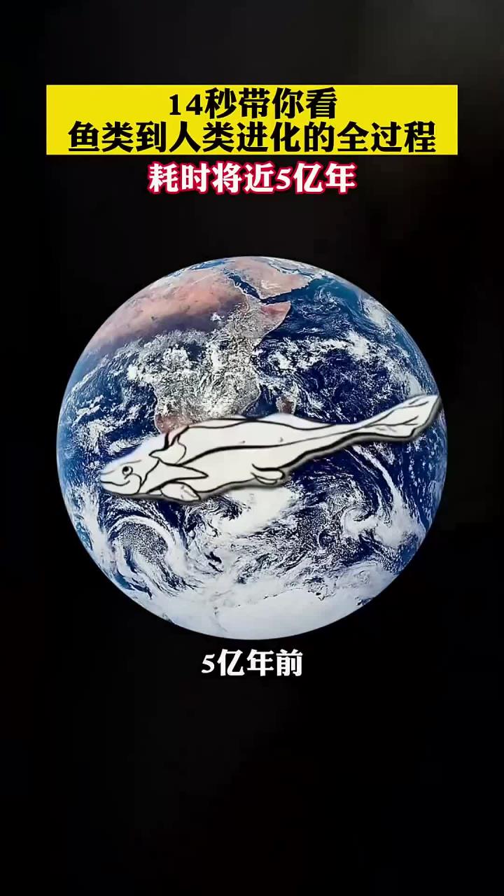 14秒带你看鱼类到人类进化的全过程,耗时将近5亿年!