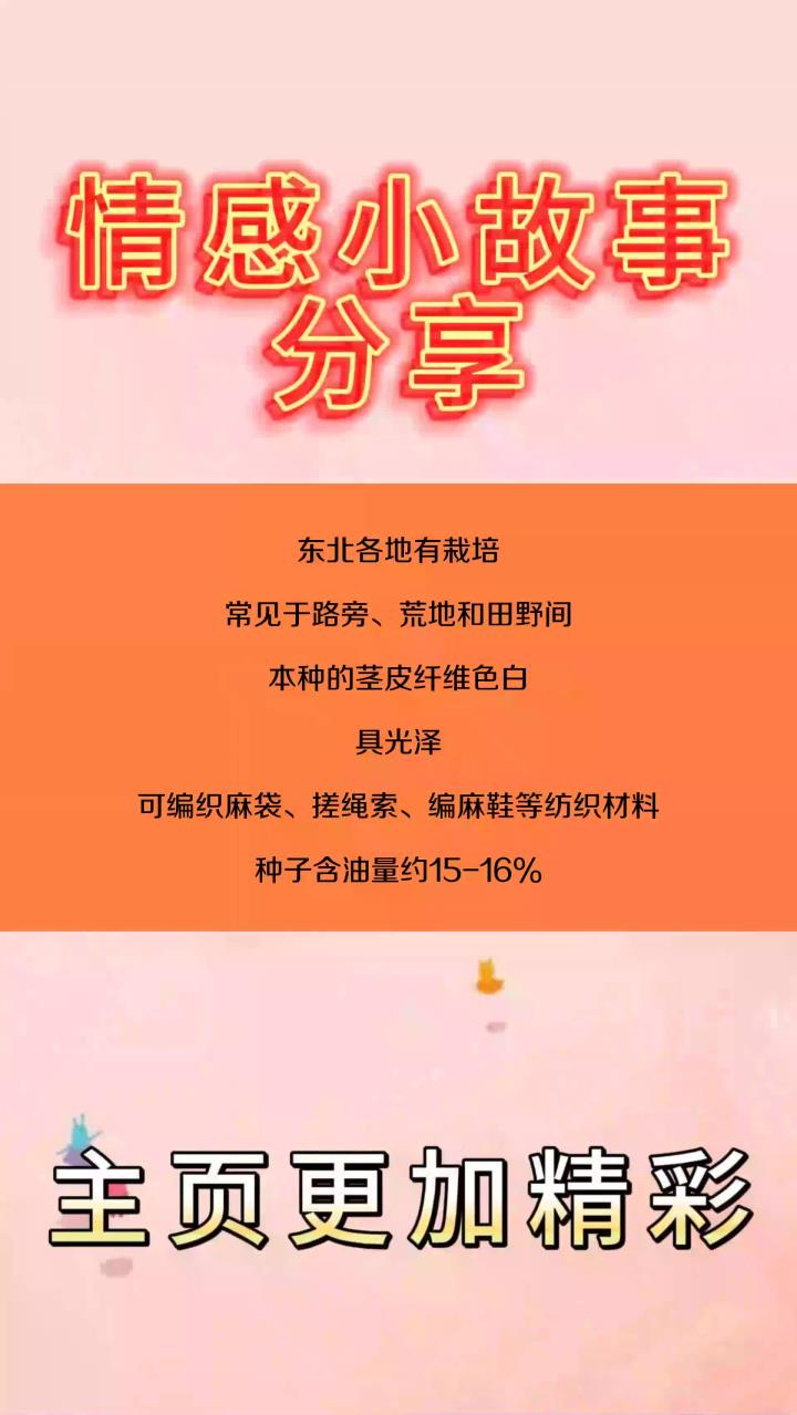 农村一常见野草,可全草入药,全身都是宝贝!