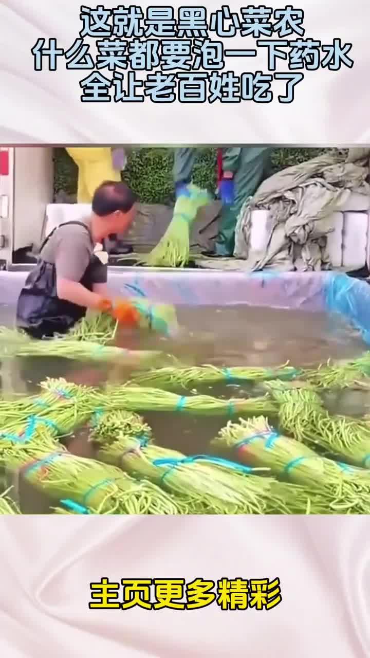 这就是黑心菜农，什么菜都要泡一下药水，全让老百姓吃了！(1)