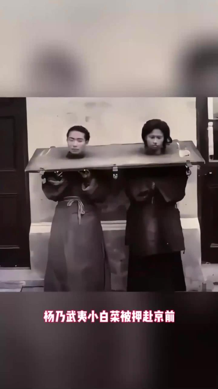 曝光!140多年前,杨乃武与小白菜被押赴京前的照片