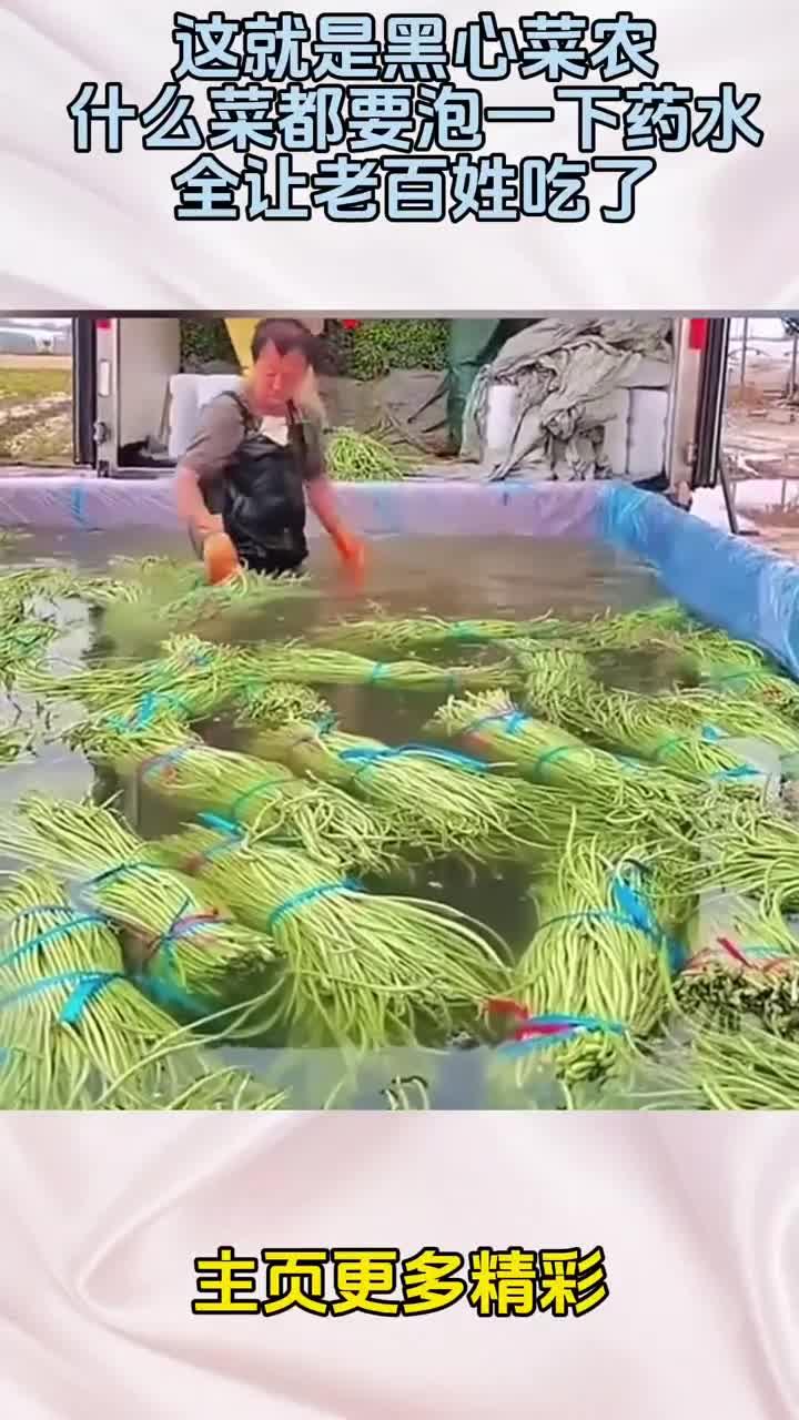 这就是黑心菜农,什么菜都要泡一下药水,全让老百姓吃了!