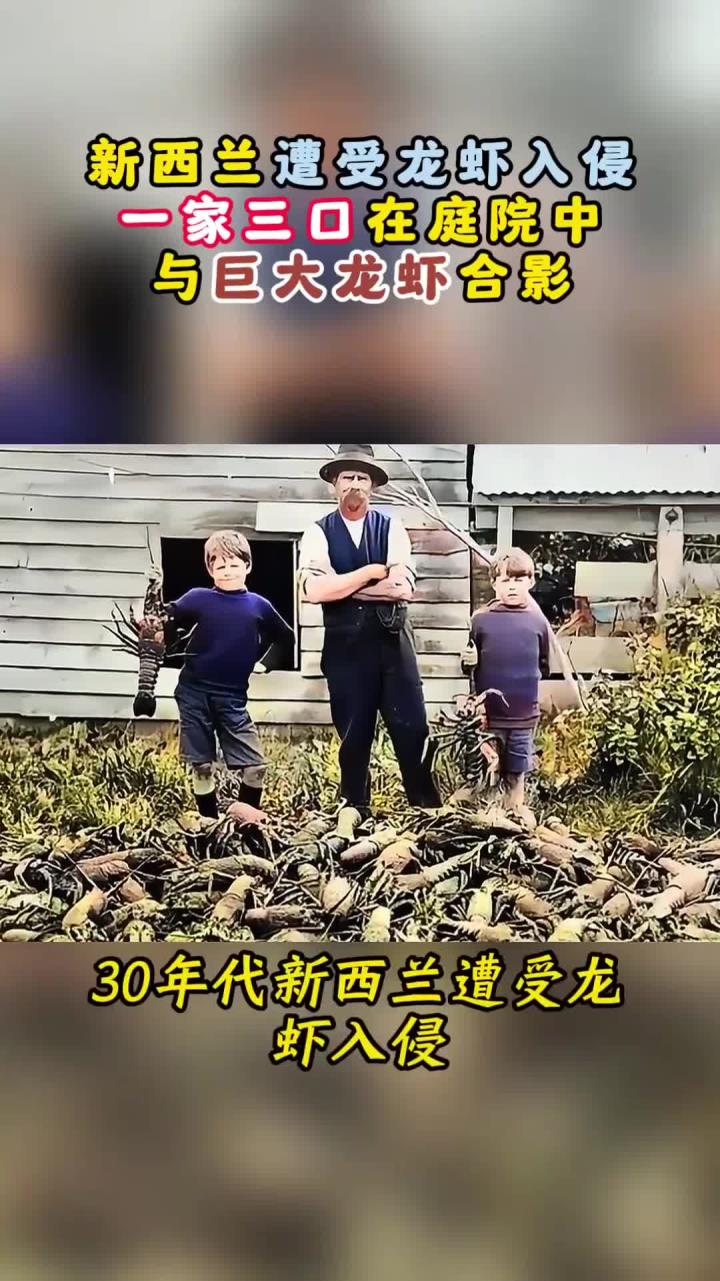 30年代,新西兰遭受龙虾入侵,一家三口在庭院中与巨大龙虾合影