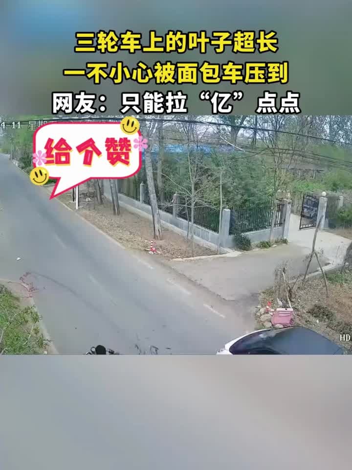 三轮车上的叶子超长,一不小心被面包车压到,网友:只能拉“亿”