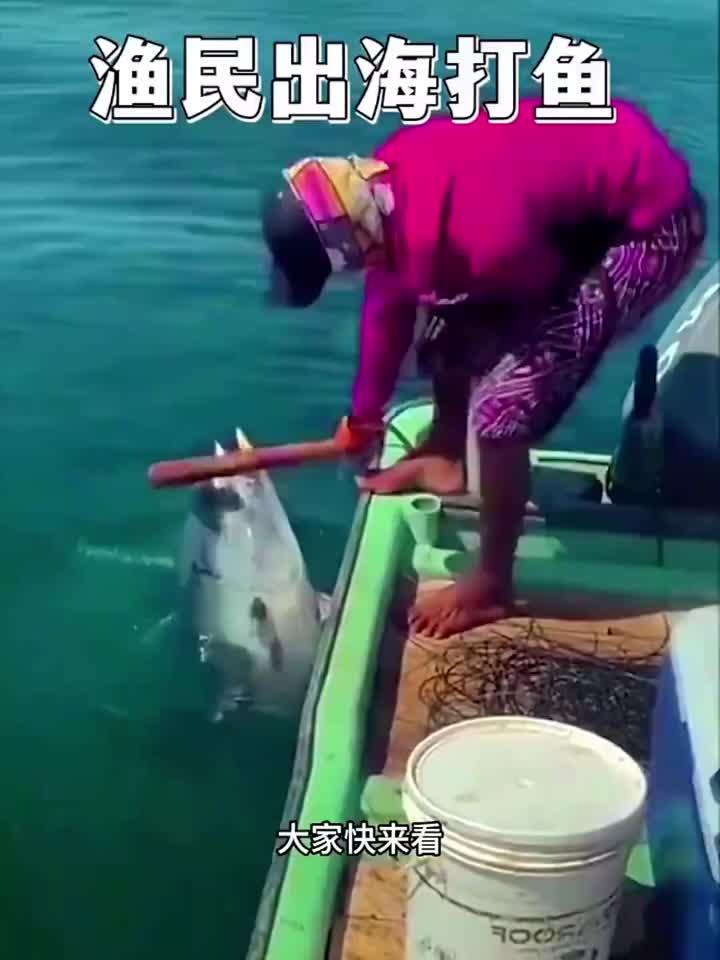 渔民出海打鱼的方法有点特别