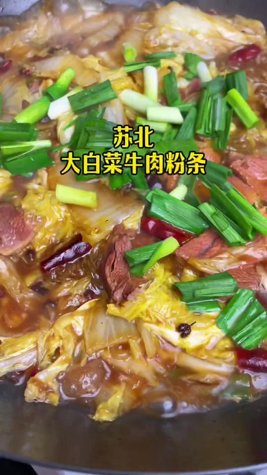 苏北大白菜牛肉烧粉条