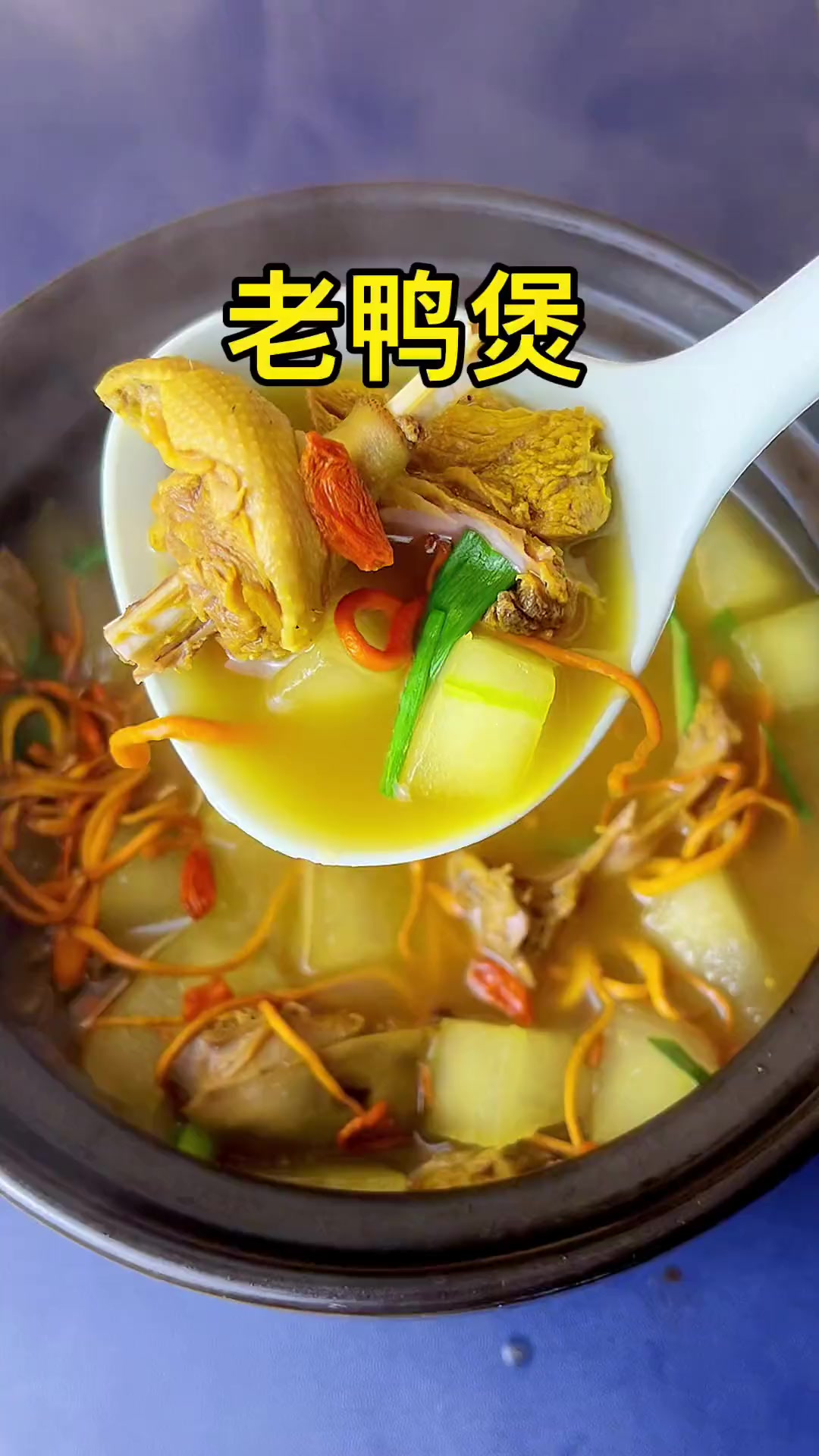 老鸭煲汤，适合现在这个季节喝，10秒教会你，新手小白也能学会