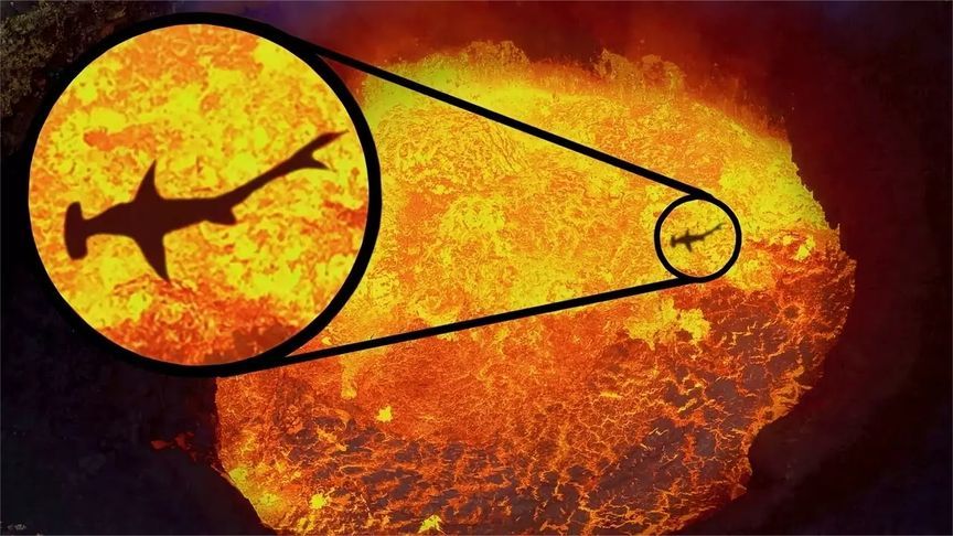 盘点4个生活在火山上的生物!鲨鱼在岩浆里生存?没被烤熟?
