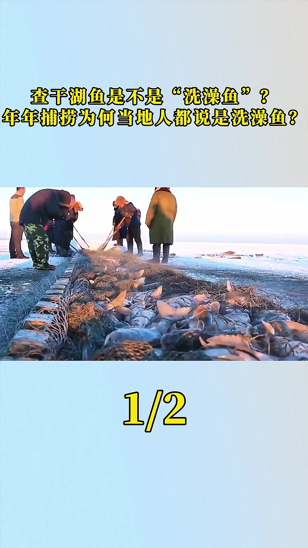 查干湖鱼是不是“洗澡鱼”？年年捕捞！为何当地人都说是洗澡鱼？
