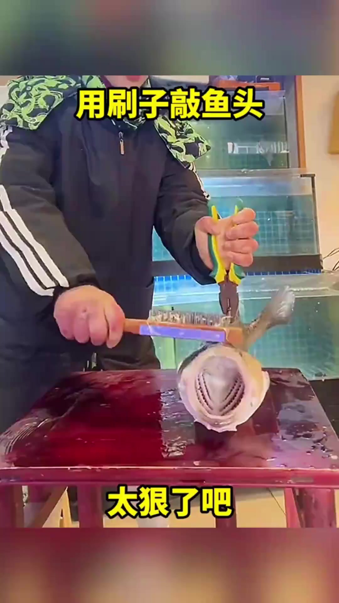 “敲鱼张嘴的奇妙操作,让我惊讶不已!”