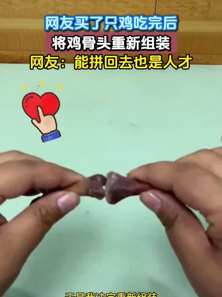 网友买了只鸡吃完后,将鸡骨头重新组装,网友:能拼回去也是人才