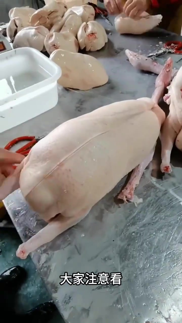 价格堪比黄金的顶级食材-法式鹅肝