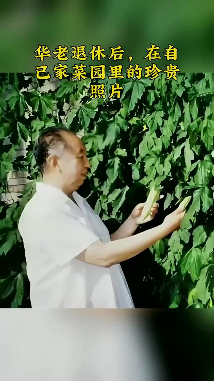 华老退休后,在自己家菜园里的珍贵照片