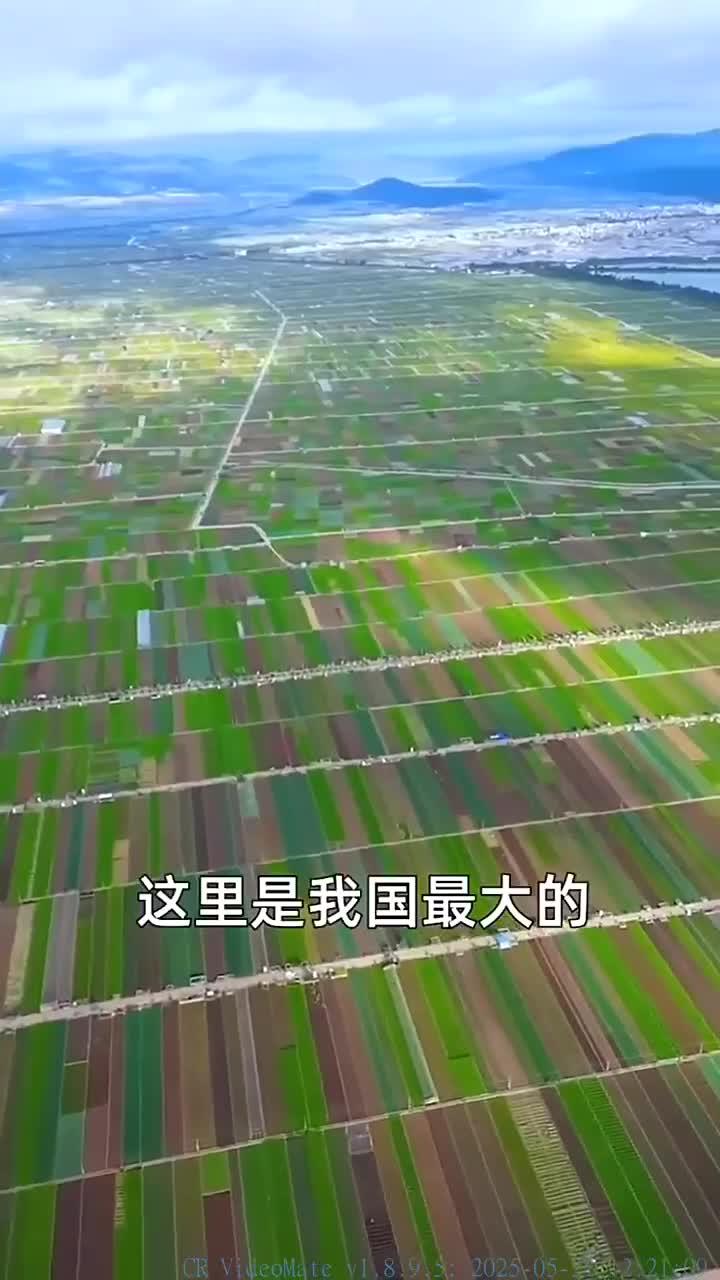 云南通海县蔬菜种植基地,一年可以种植三到四次旅游推荐