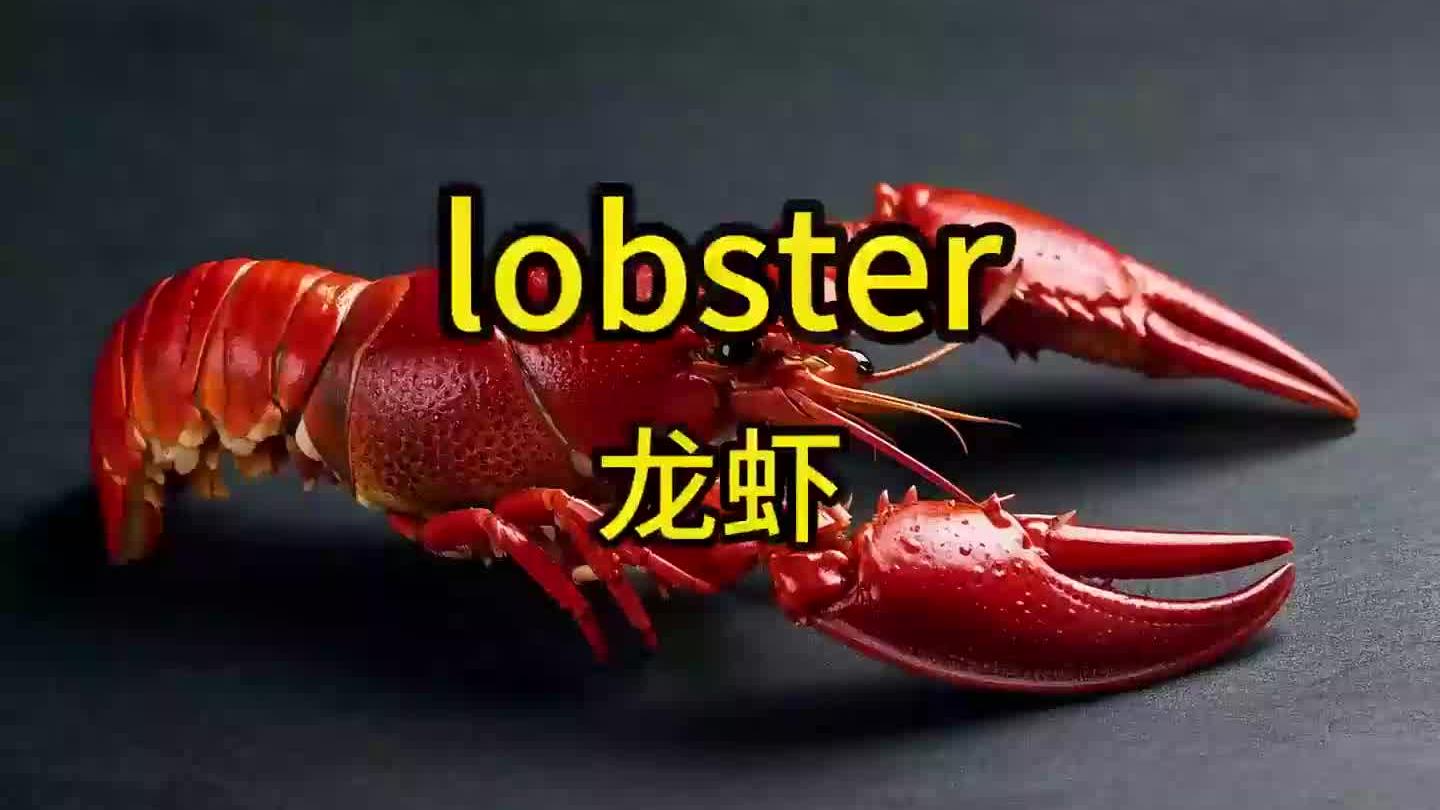 龙虾,英语是什么