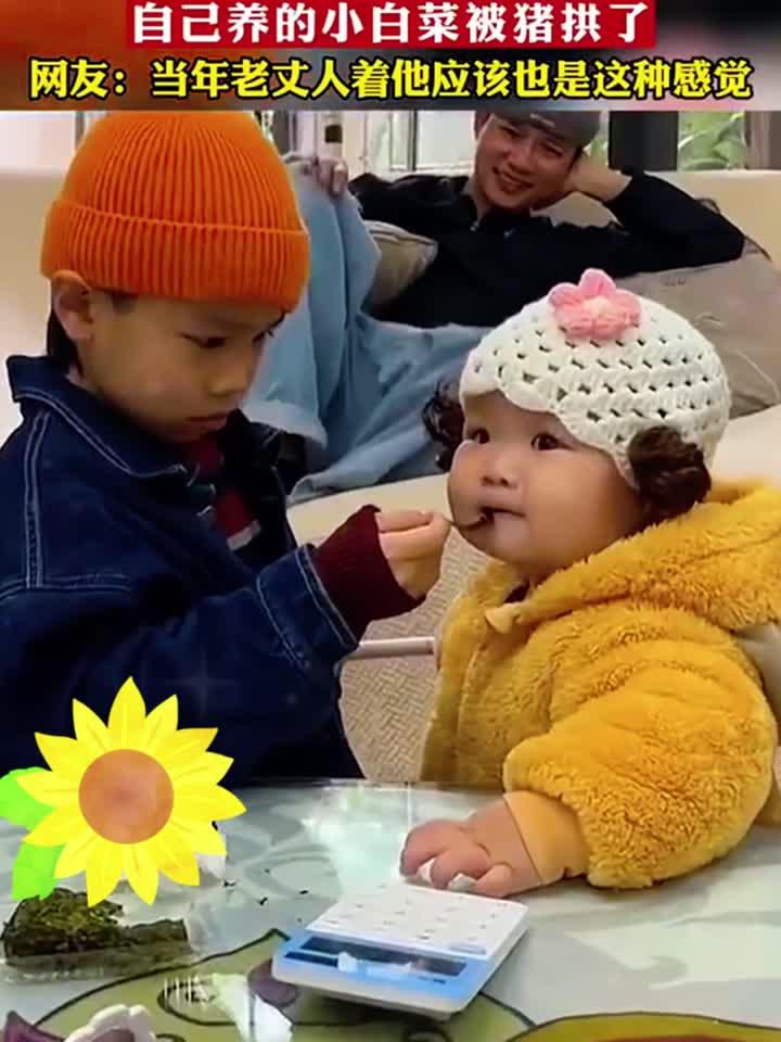 爸爸眼睁睁的看着，自己养的小白菜被别人家小猪拱了。网友：当年