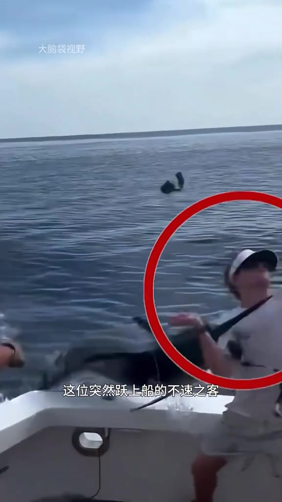 旗鱼，游泳速度最快的鱼，钓鱼佬见了都害怕