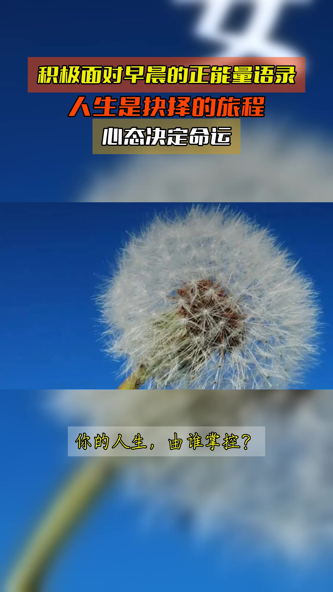积极面对早晨的正能量语录,人生是抉择的旅程,心态决定命运