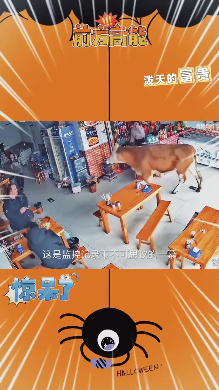 黄牛竟然自己走进牛肉粉店的一幕让人不可思议