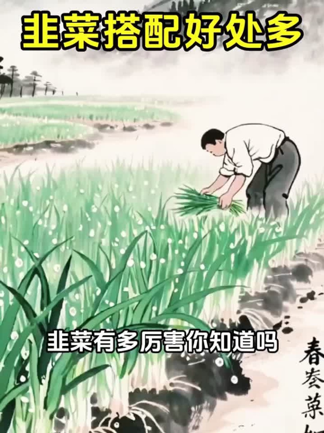 韭菜居然还有这些神奇功效