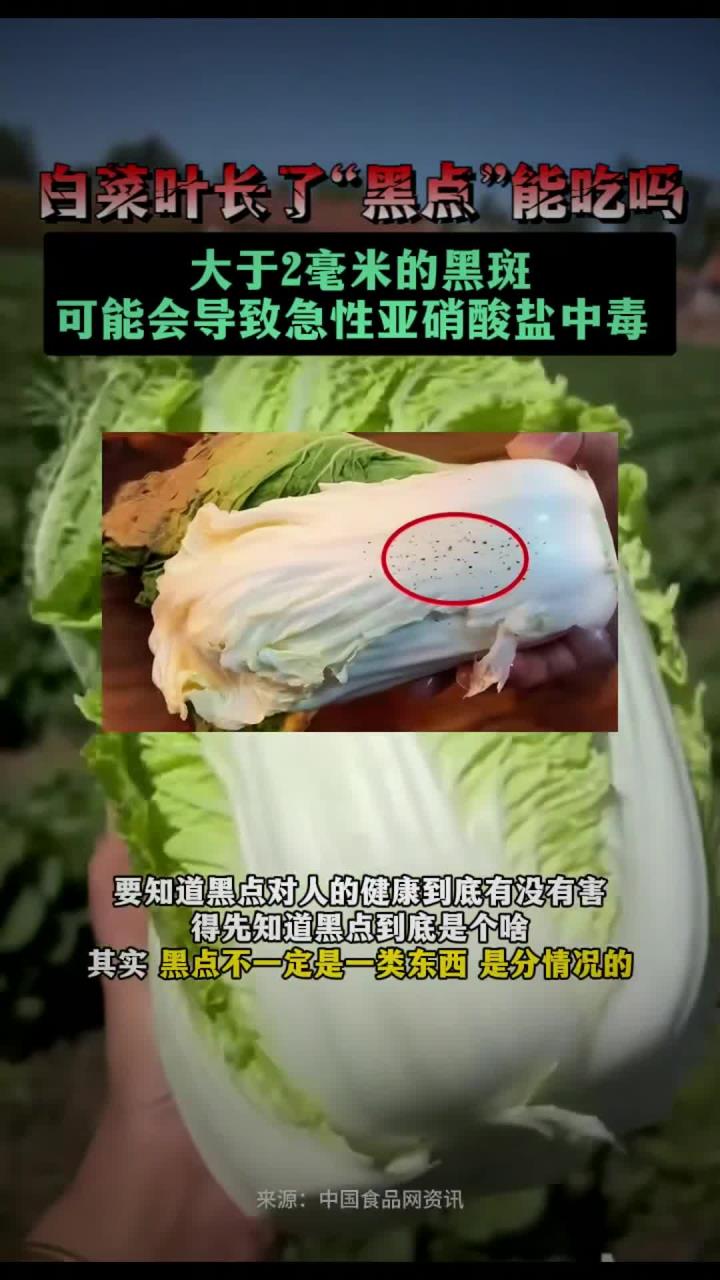 白菜叶长了“黑点”能吃吗