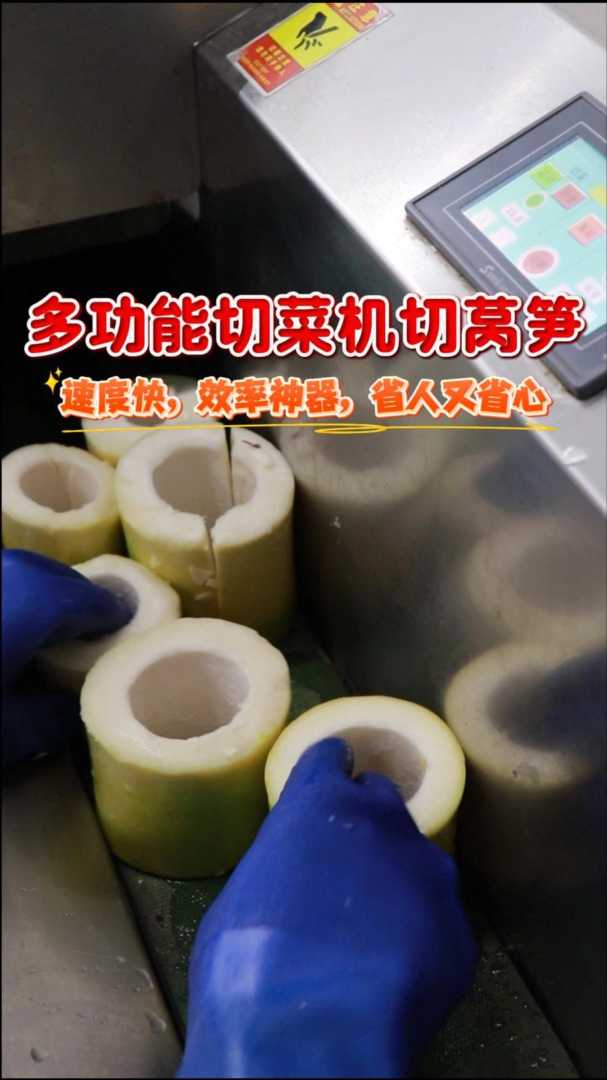 多功能切菜机