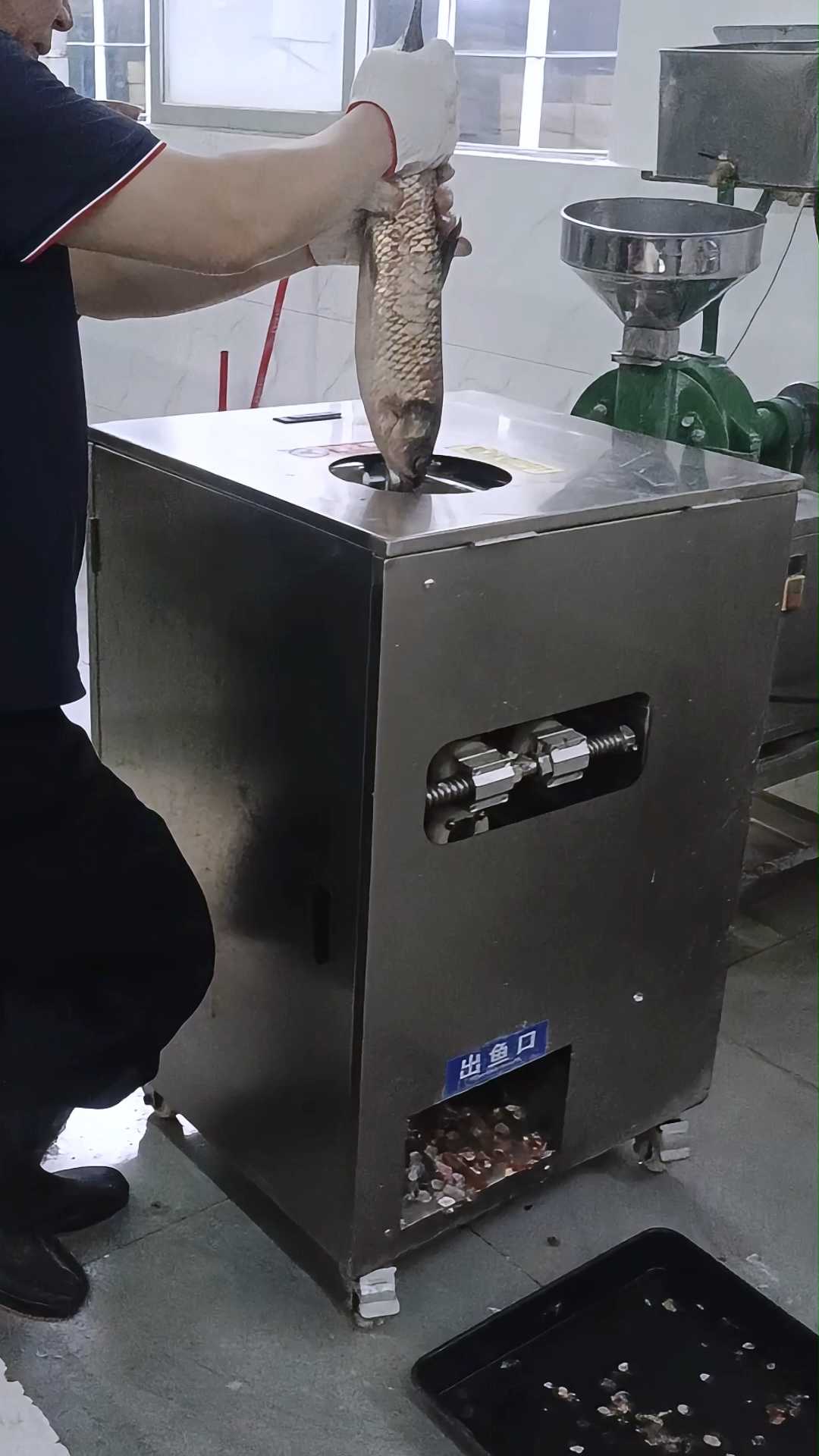 去鳞开背一体，不破苦胆鱼身完整#商用杀鱼机##全自动去鳞开背机##水产加工设备##烤鱼店设