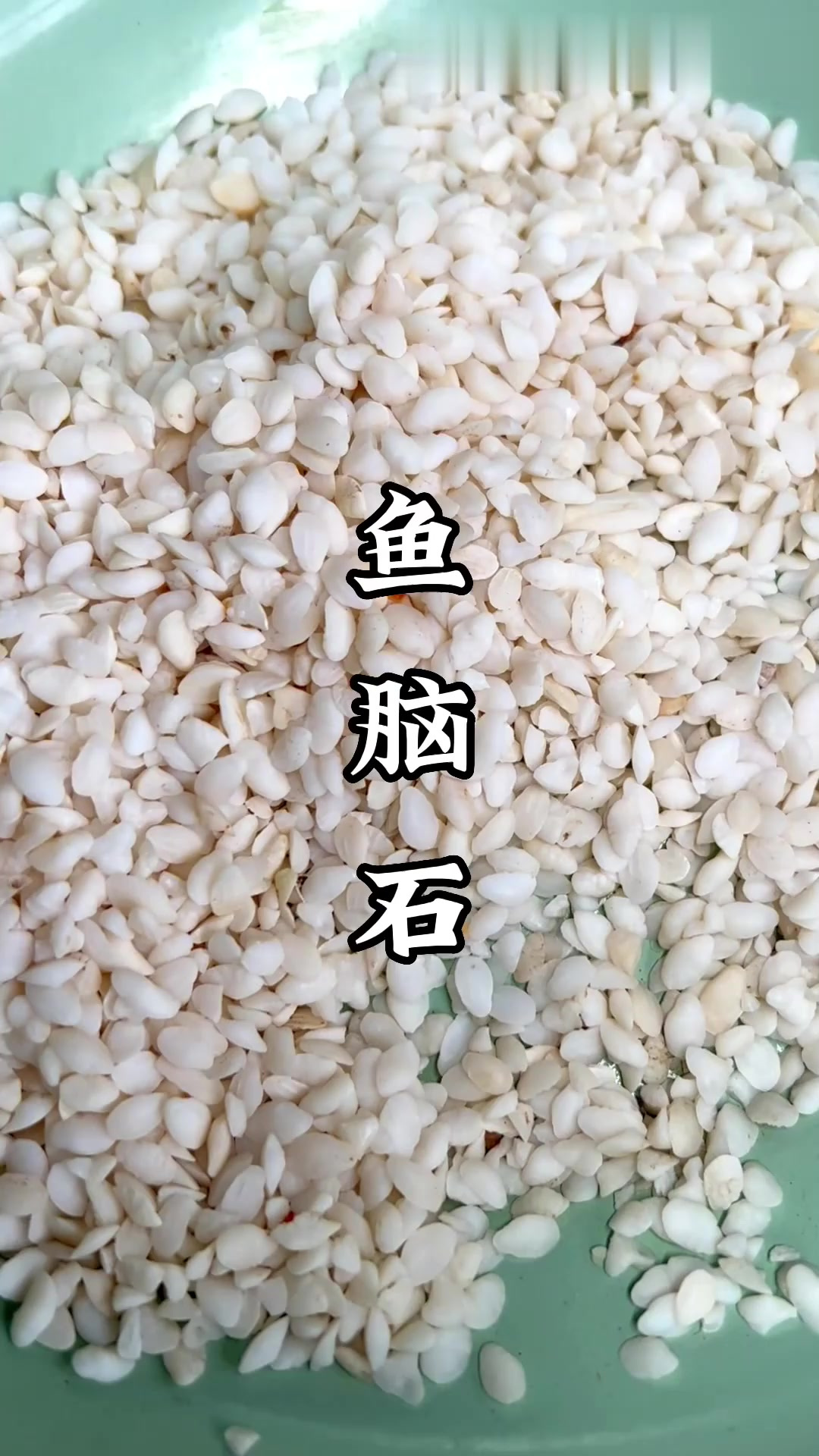 日常中药炮制 鱼脑石