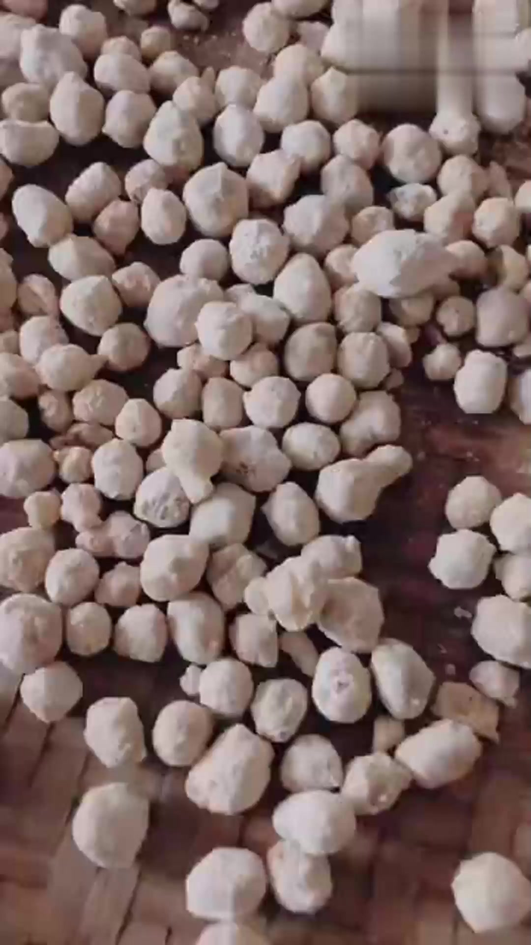 「中药炮制」阿胶珠