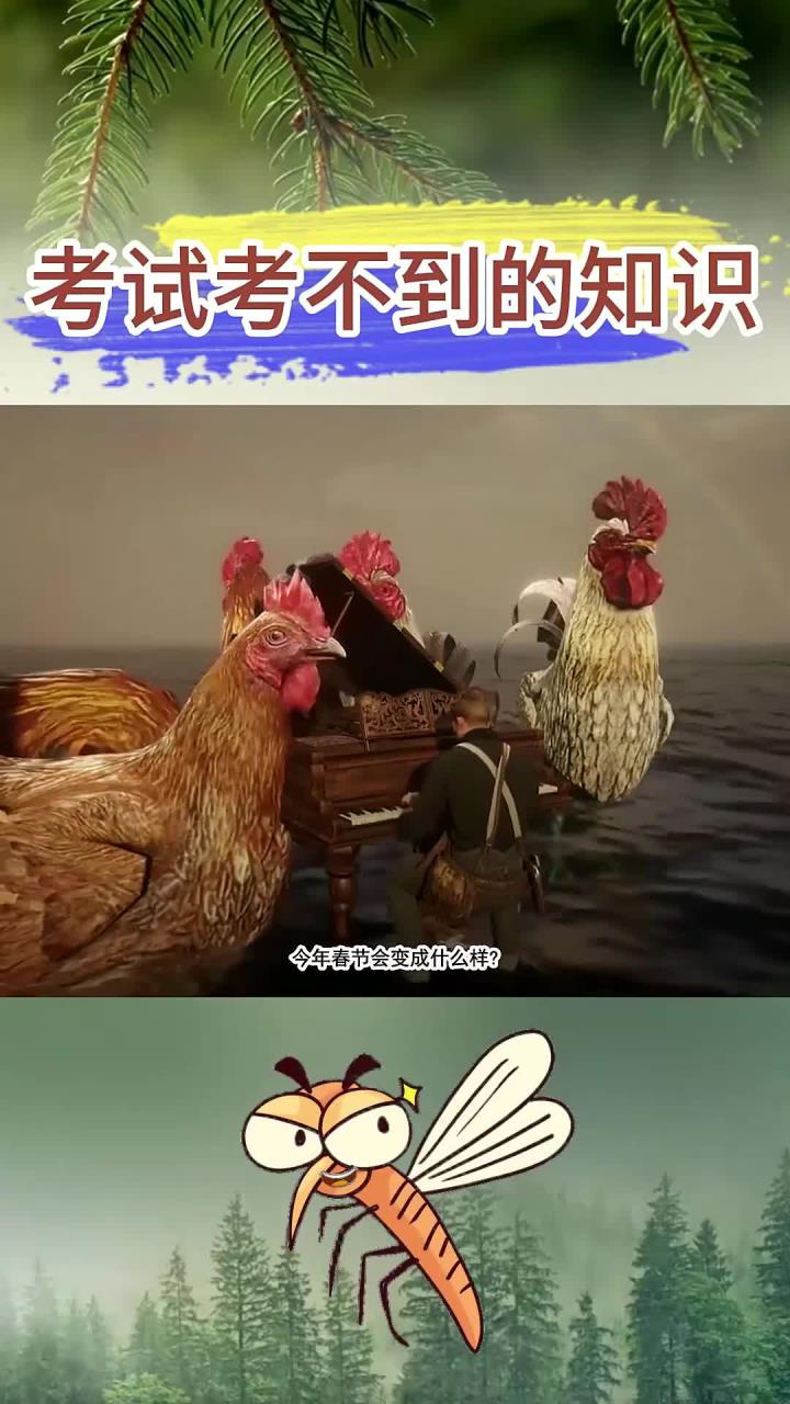 开始期待2029年鸡年了,不敢想象鸡年春节会是什么样的