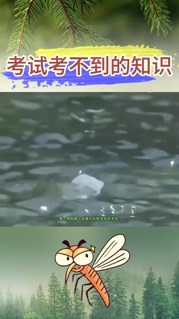 考试不会考的知识:水性杨花真的是一种花