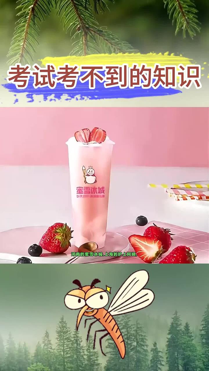 原来每个省都有自己的奶茶品牌,那你那是什么呢?