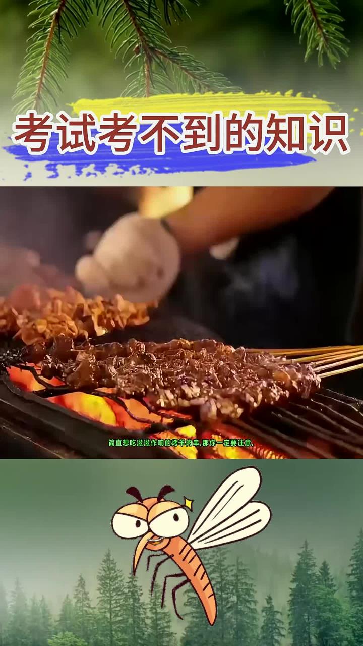 学霸不会告诉你的知识:哇,好肥的羊肉串啊