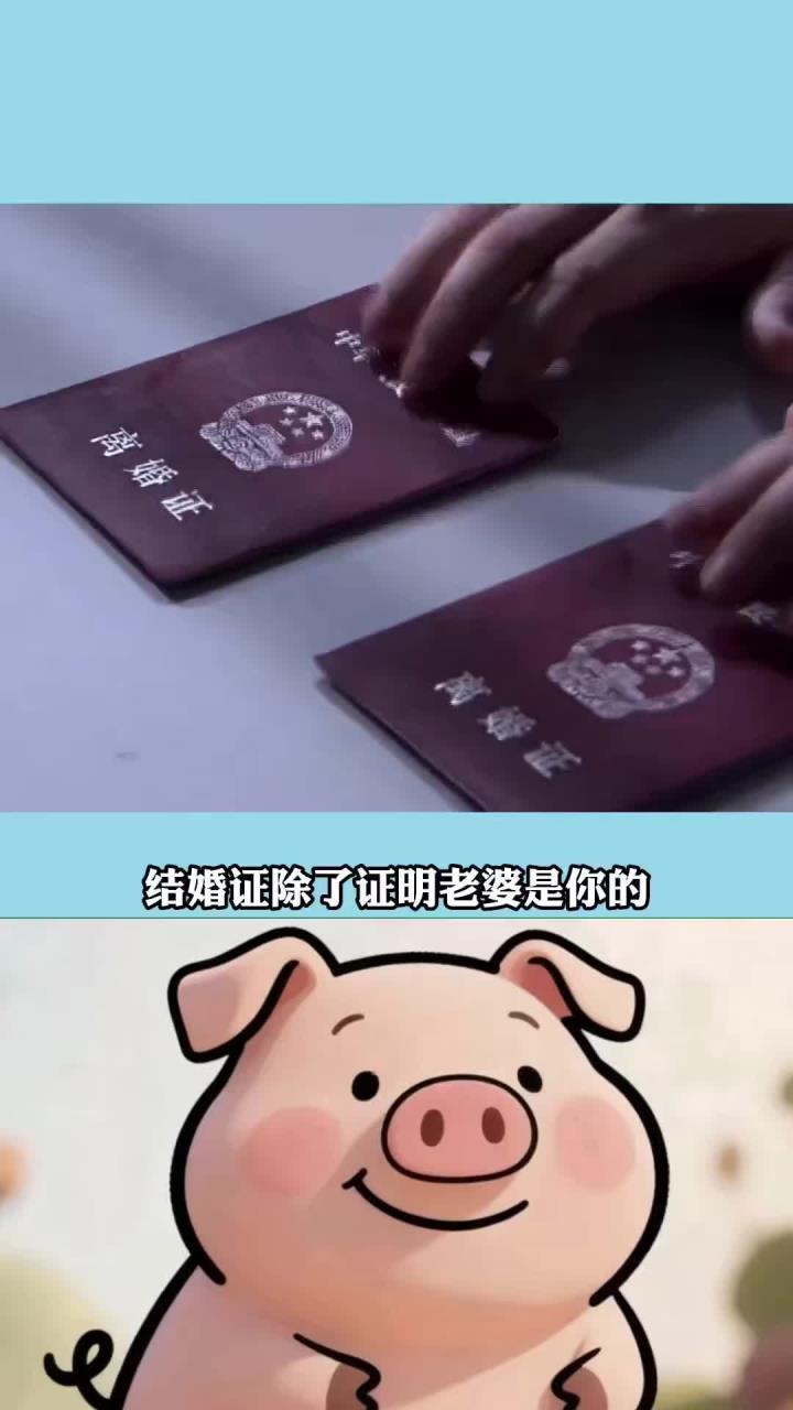 每天分享一个冷知识:结婚证的隐藏福利你知道了吗