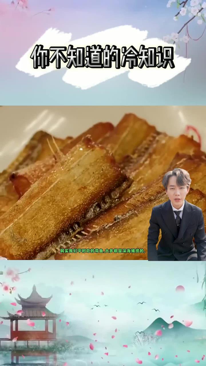 每天分享一个冷知识：有没有见过活着的带鱼？