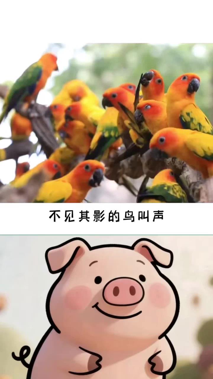 哪些童年只听其声,不见其影的鸟叫声