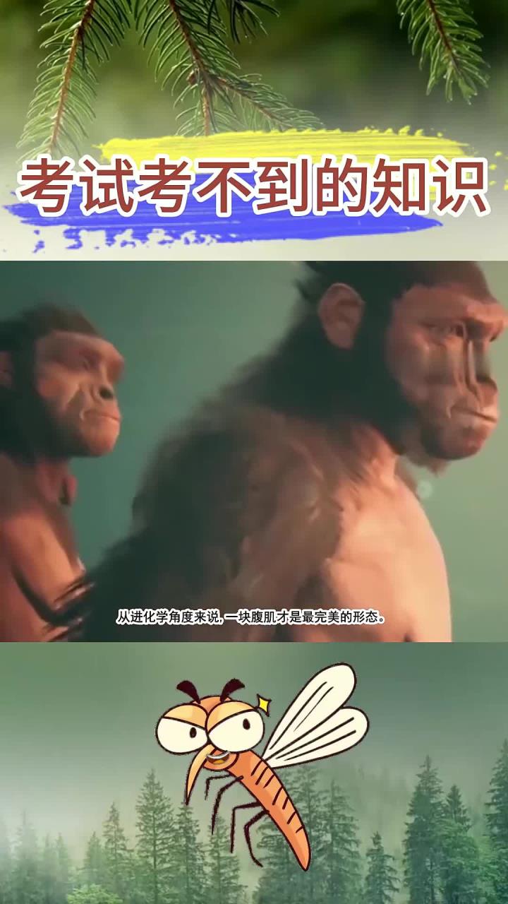 考试不会考的知识:腹肌一块才是最完美的!