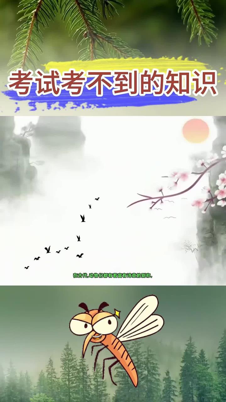 学霸不会告诉你的知识：富有诗意的动物别称