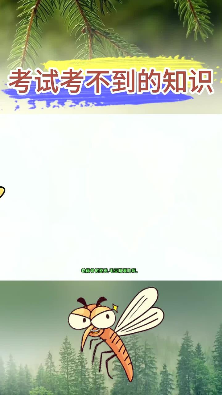 学霸不会告诉你的知识:水煮毛豆加早睡,炸鸡奶茶全作废