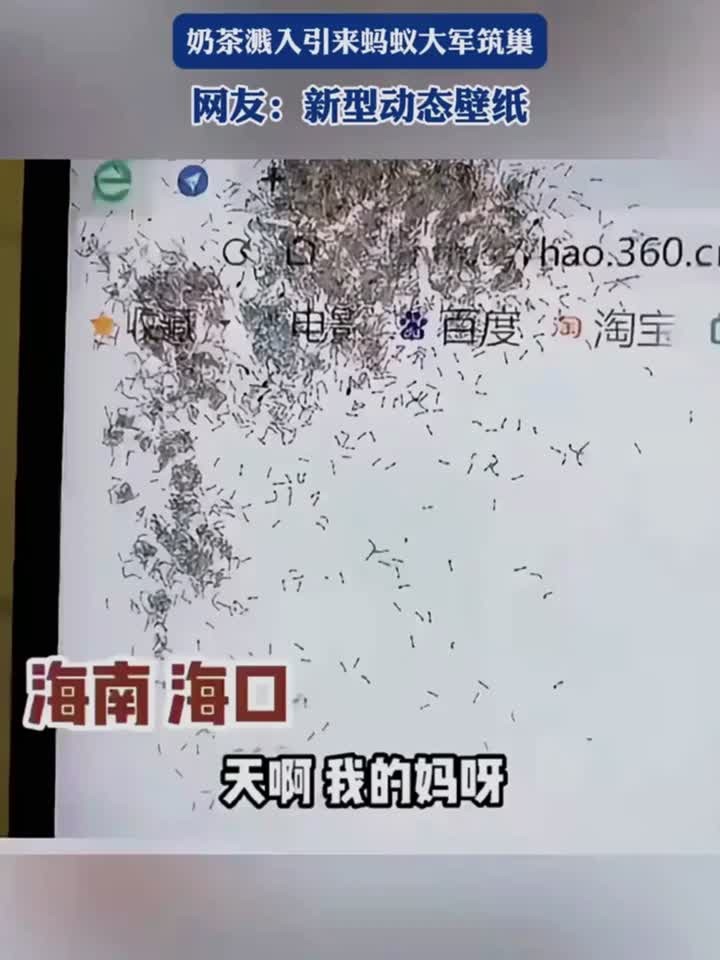 女子喜欢在电脑前吃甜食,奶茶溅入引来蚂蚁大军筑巢