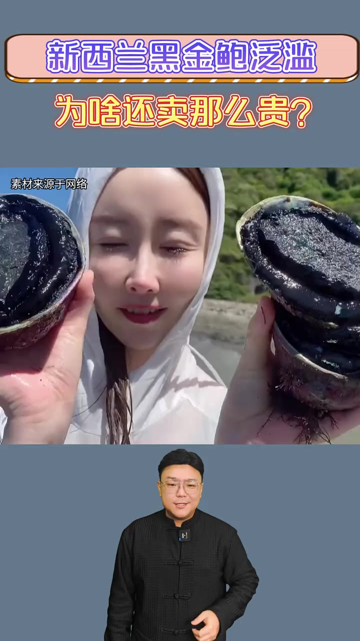 新西兰黑金鲍泛滥,为啥买1只还要500多块?怎么不吃掉它们呢