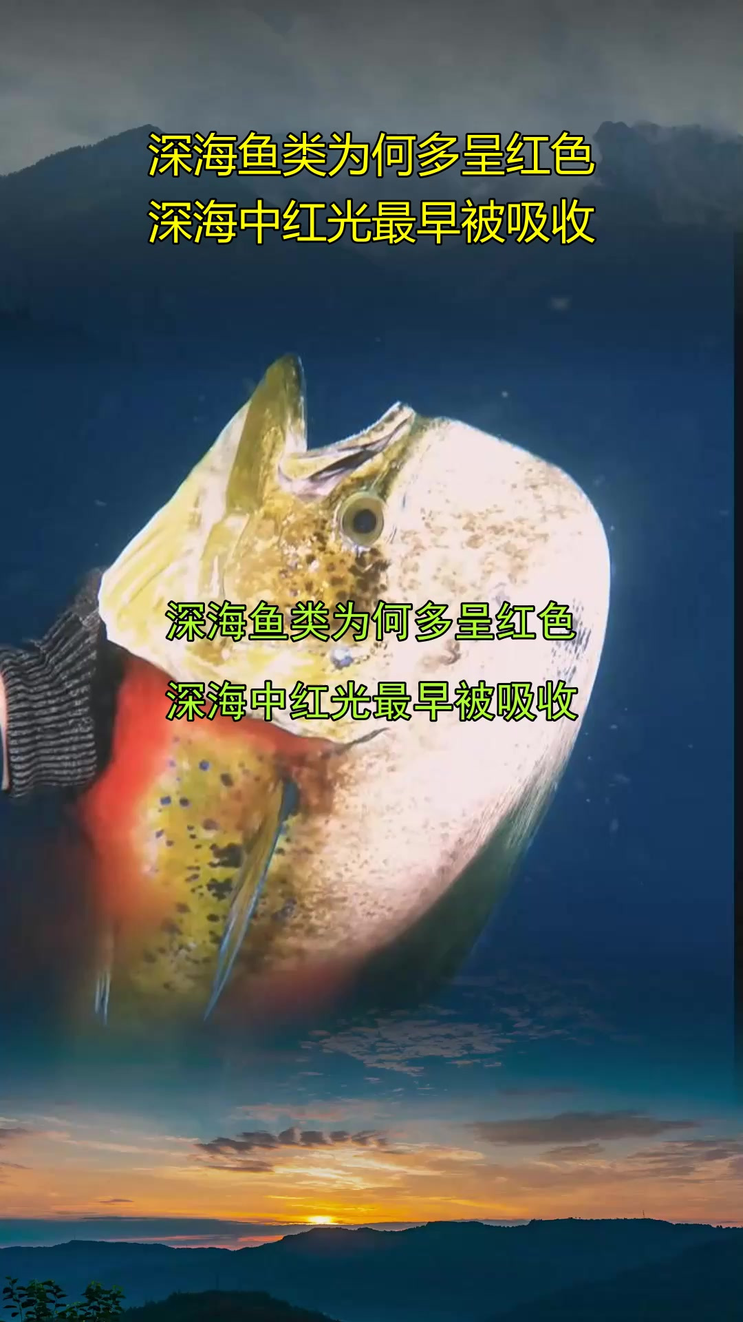 深海鱼类为何多呈红色，深海中红光最早被吸收