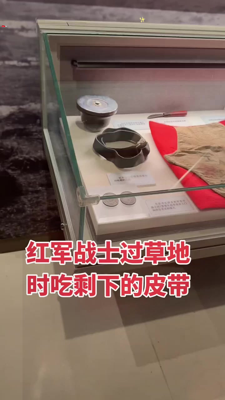 816.我辈不能忘:挖野菜、吃草根、煮皮带……这些长征途中的